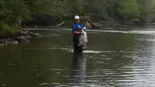 riverclean1.jpg